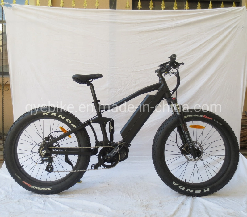 Queene/Electric Bike Bafang Ultra System Fat Bike with G510 48V 750W 1000W Middle Motor