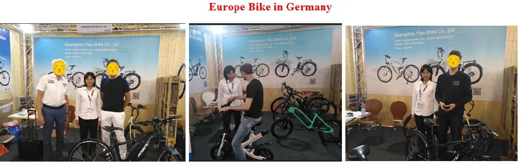 High Quality Cheap Customized 48V 500W Mountain Electric Bike Electric Bikes Powerful