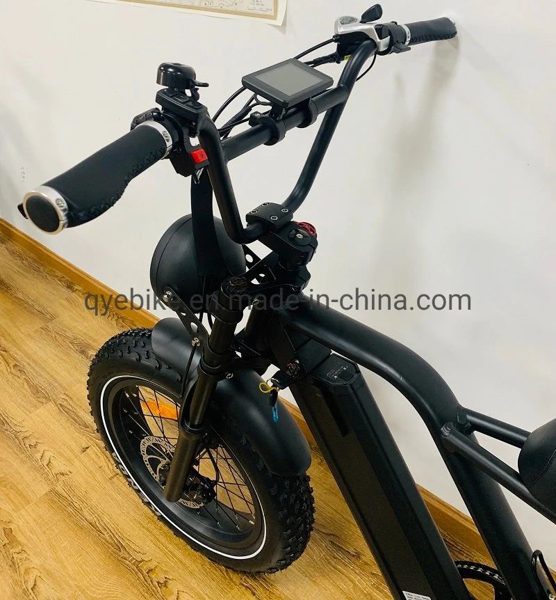 Queene/20 Inch Foldable Fat Tire Electric Bike Folding with 8fun Motor Pedal Assist