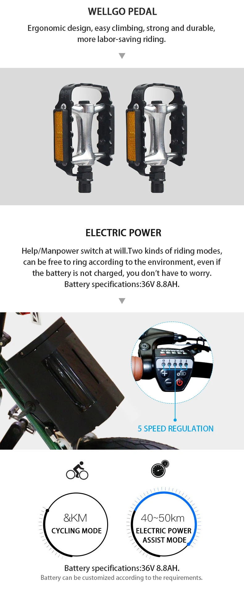 Through Waves Ebike 250W 36V Long Distance Battery Retro Electric Bicycle