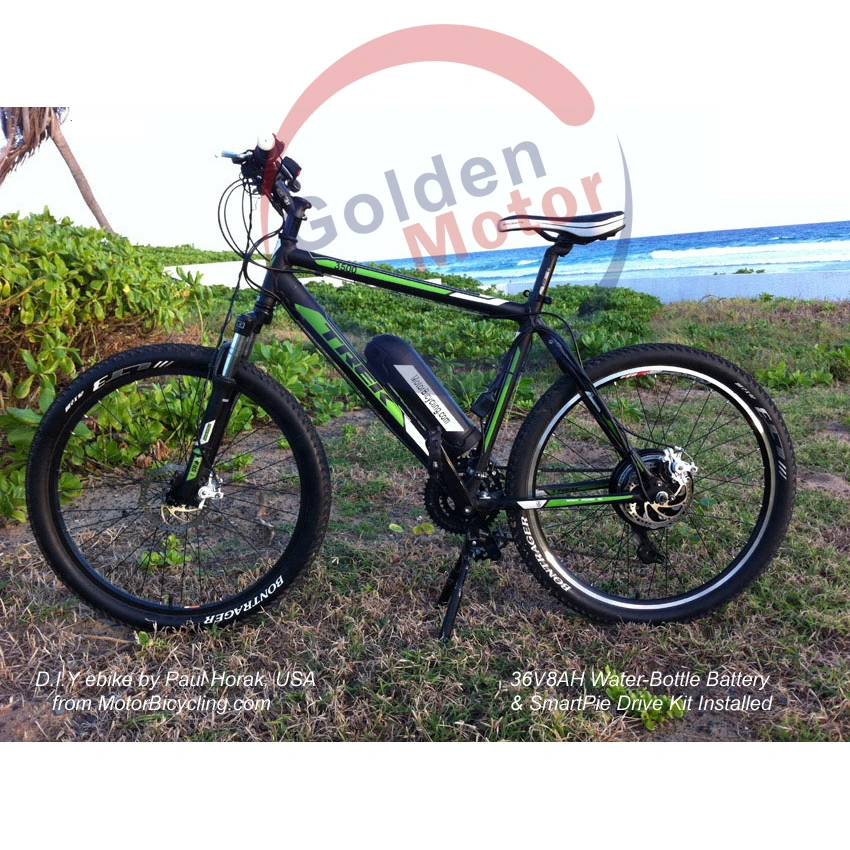 Electric Bike 500W -1500W with Ce Proved BLDC Motor Front & Rear Disc Brake System