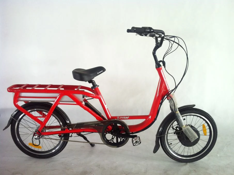 20 Inch Cargo Electric Bike for Delivery/ Cargo Bike Can Be Customized Jb-Tdn03z