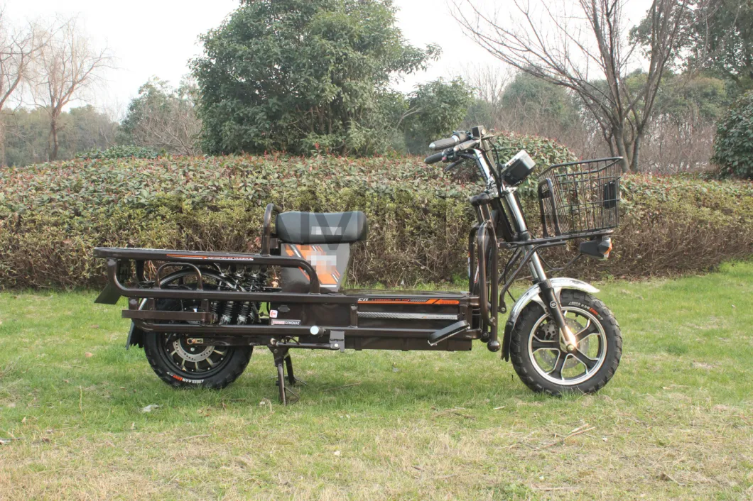 Electric Motorcycle Bike Cargo Two Wheels Electric Cargo for Passanger 2wheels Vehicle Electric Motorcycle
