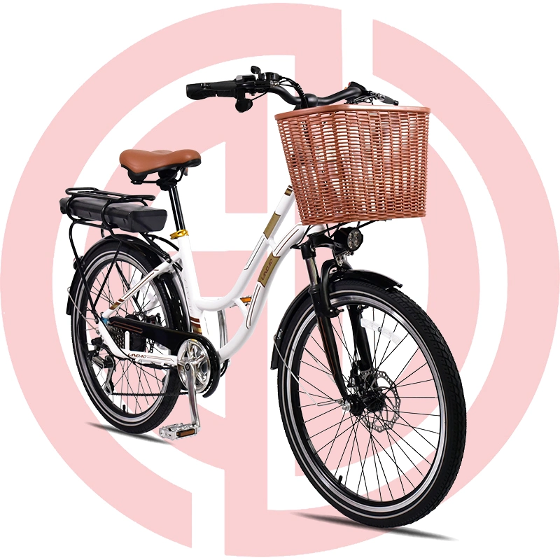 Full Suspension Electric Bike/Lady Fat Tire City E Bike