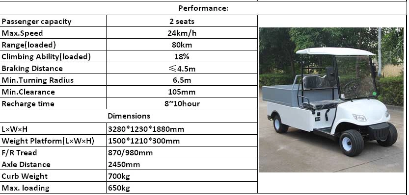 Two Seater Electric Utility Carts, Custom Street Legal Golf Carts Steel Box