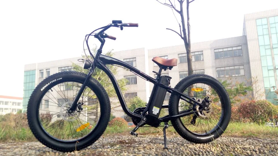 Optional Colors Electric Bikes with Fat Tire