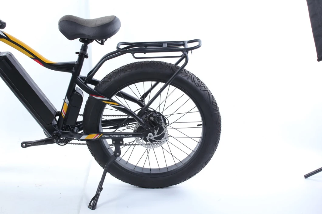 750W Li-ion Battery Bafang Electric Fat Tire Bike for Adult 26inch