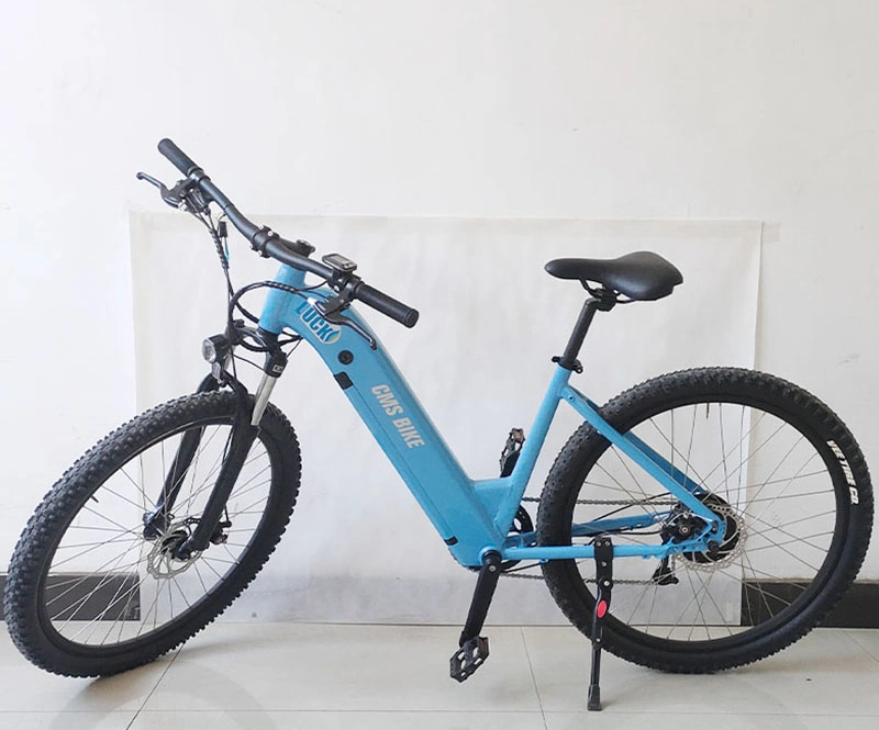 250/350/500/800W Mountain Electric Bike /Road/City Electric Bicycle Lithium Power Bicycle E-Bike