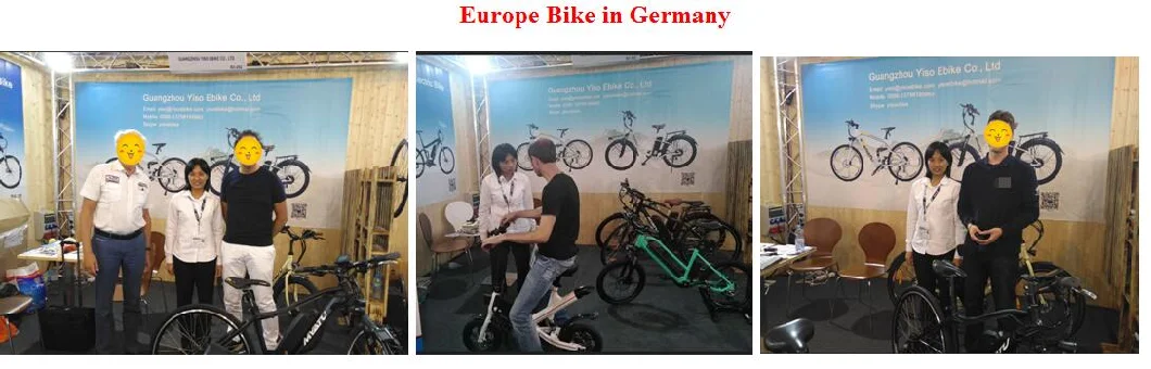 New Green Power 700c City E-Bike/Road Electric Bike 350W MID Drive Bike for Sale Lady City Using