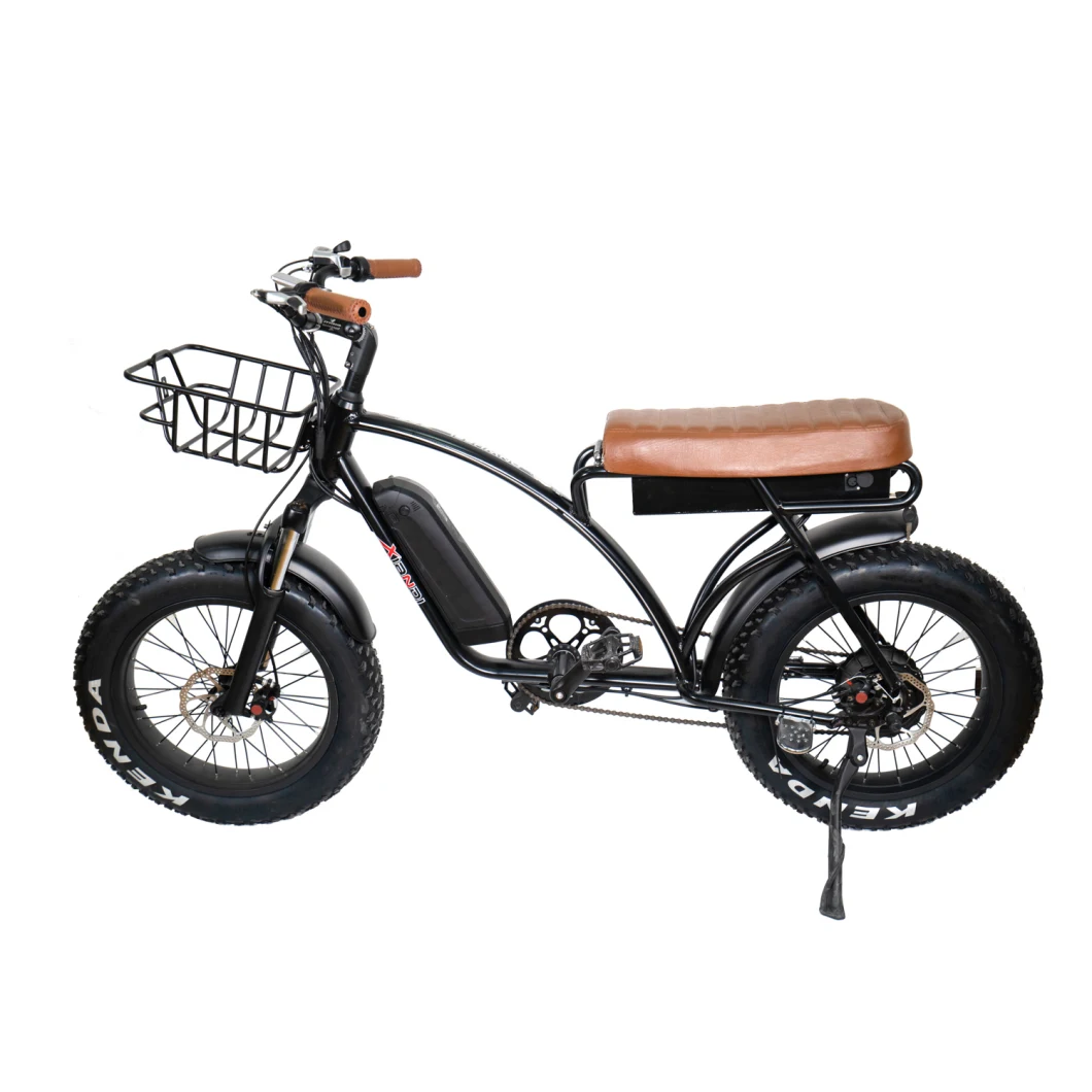 20 Inch Cruiser Electric Fat Tire Bike Fat Tyre Bicycle for Men 500W Mz-304