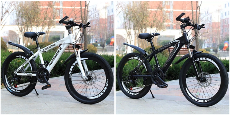 China Manufacturer of Mountain Bike Carbon Steel Road Bicycle Bike