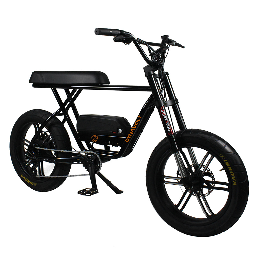 48V 750W Bafang Motor Fat Bike 2020 Electric Bike Fat Ebike