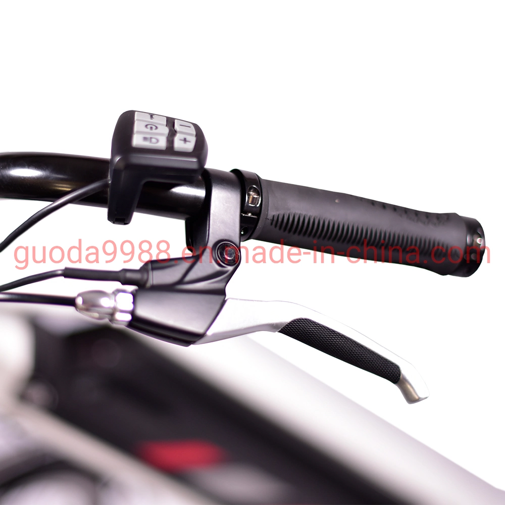 High-Quality City Electric Bicycle Electric City Bike City E Bike