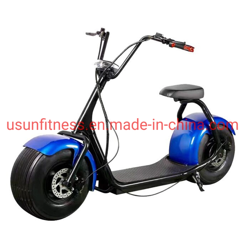 16' Adult 1500 W 60 V Lithium Power Fat Tire Electric Bike Factory Price