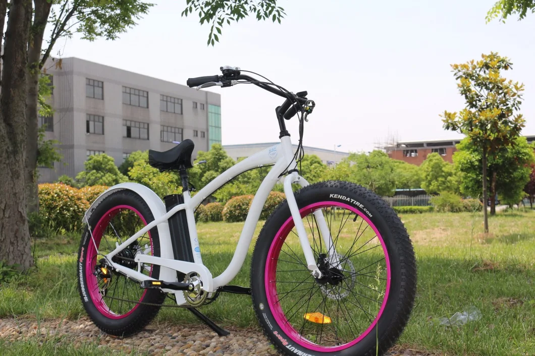 Cell Li Electric Bikes with Fat Tire 500W