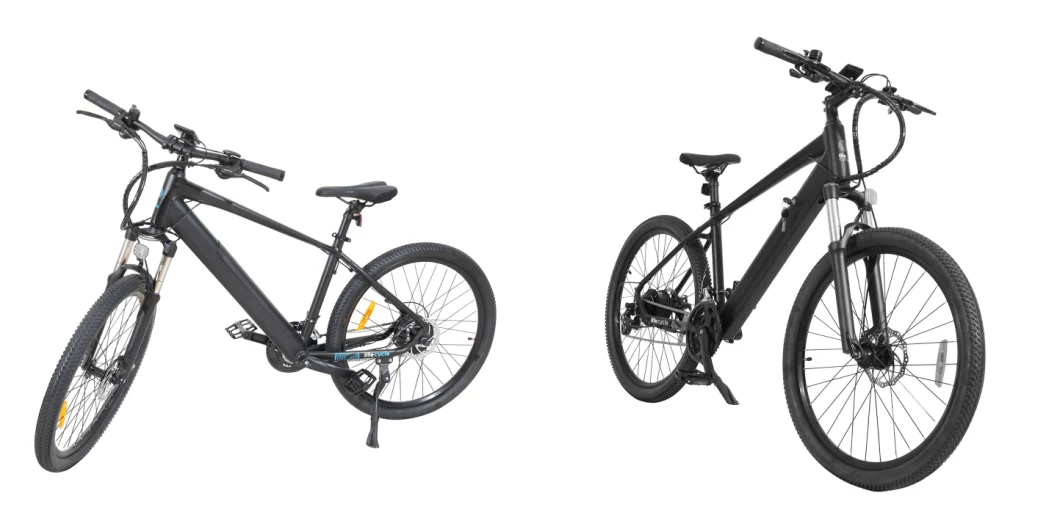 Powerful Electric Bike Hard Tail MTB Cruiser with Ce Approval