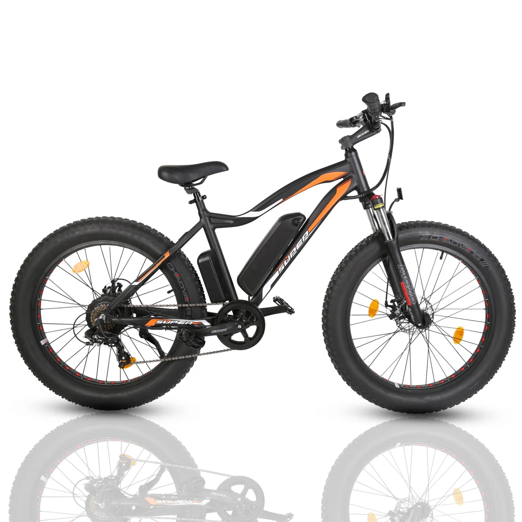Aluminum Alloy Frame Fat Tire 36V Electric Bike with Pedal Assistant