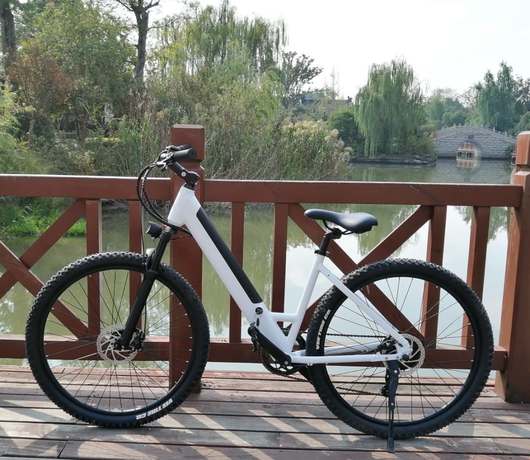 Specialized Step Through City Bicycle Electric Power Bike