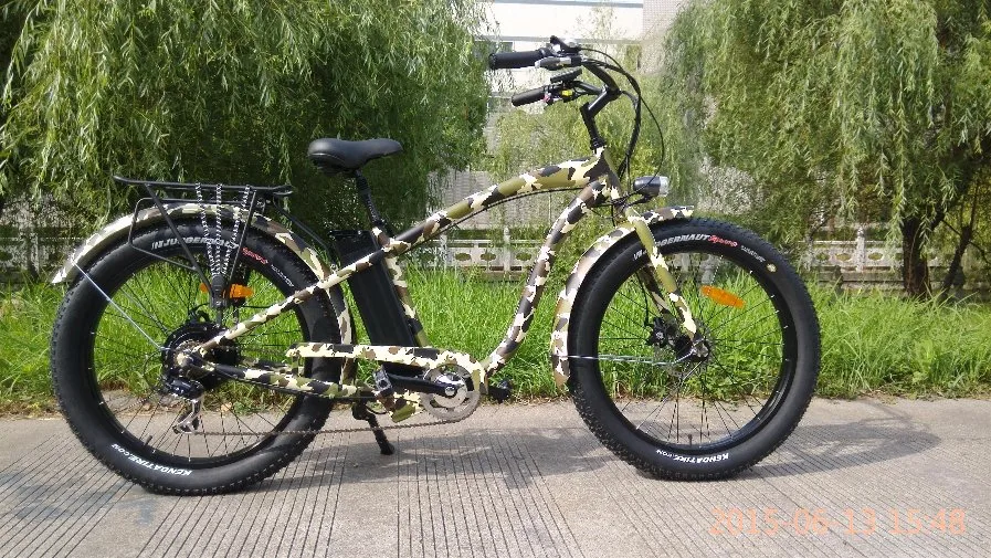 Fat Tyre Electric Bike with 500W