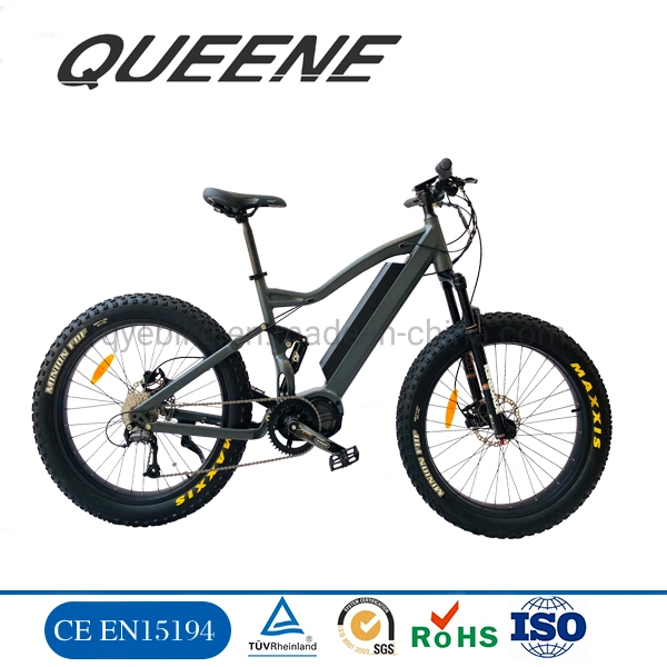 Queene/1000W MID Drive Electric Mountain Bike Fat Ebike 26inch Mountain Ebike