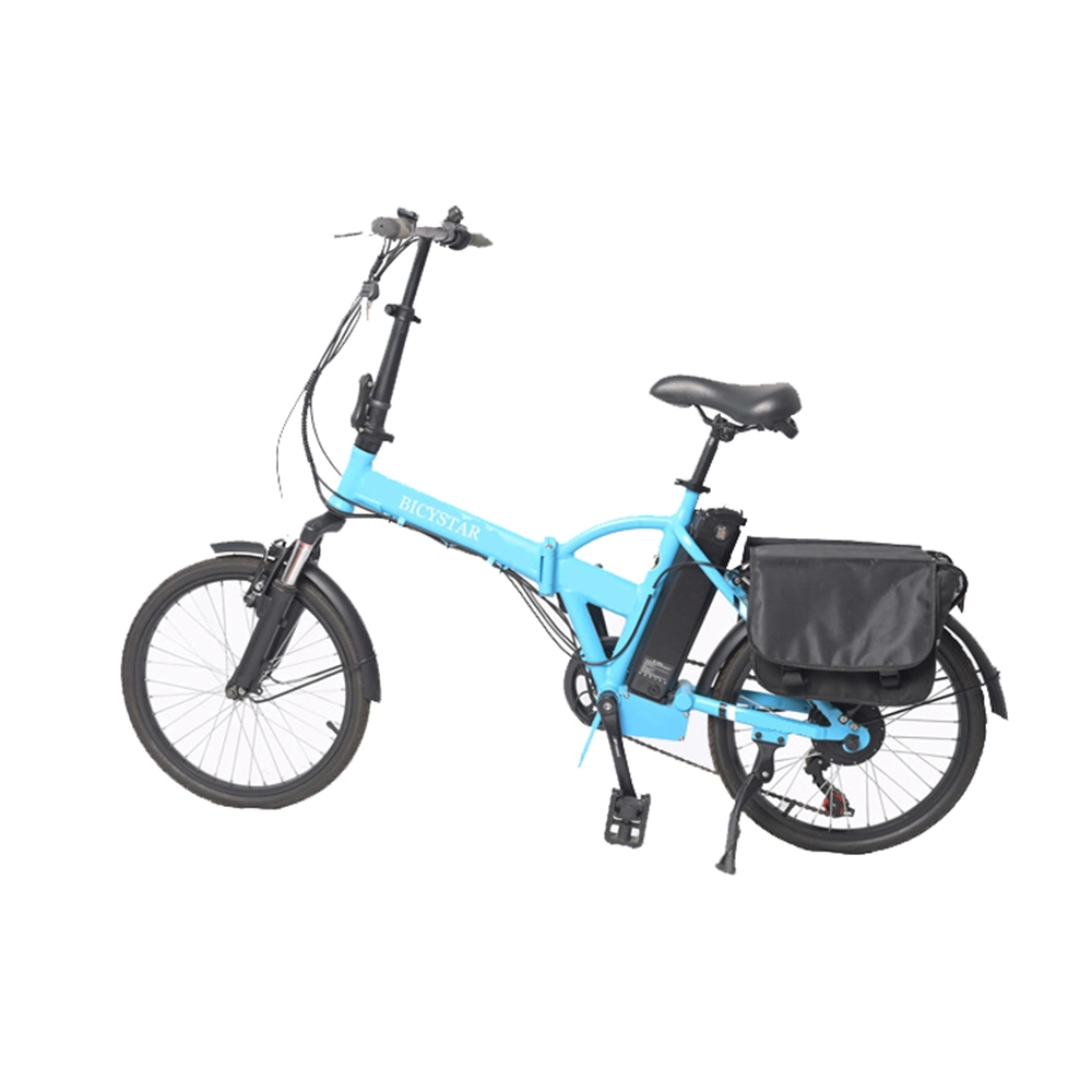 OEM Custom 12 /14 /16 Inch 250W 350W 5000W 18V 48V E Bike Electric Bicycle Ebike