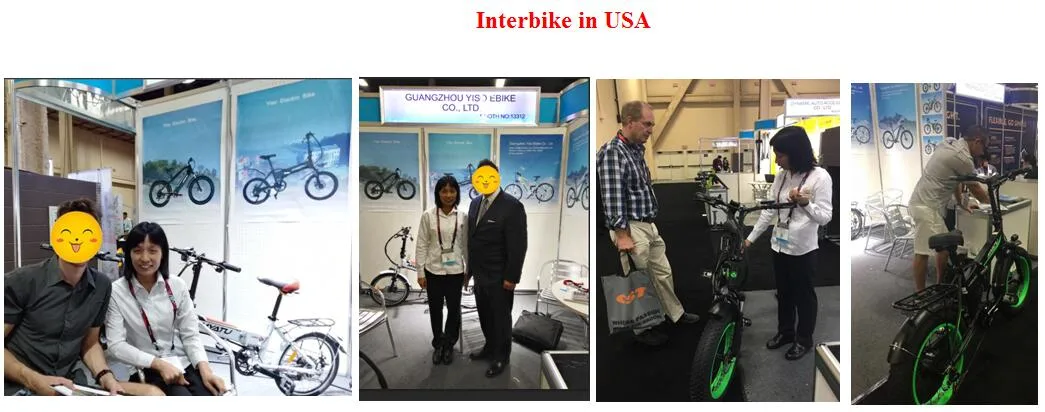 500W Bike Lithium Battery Electric Bike China for Wholesale
