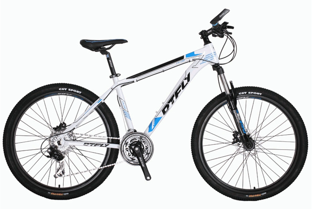 Carbon Steel Mountain Bike/Carbonal 29er Mountain Bike/Cheap Adult Mountain Bike