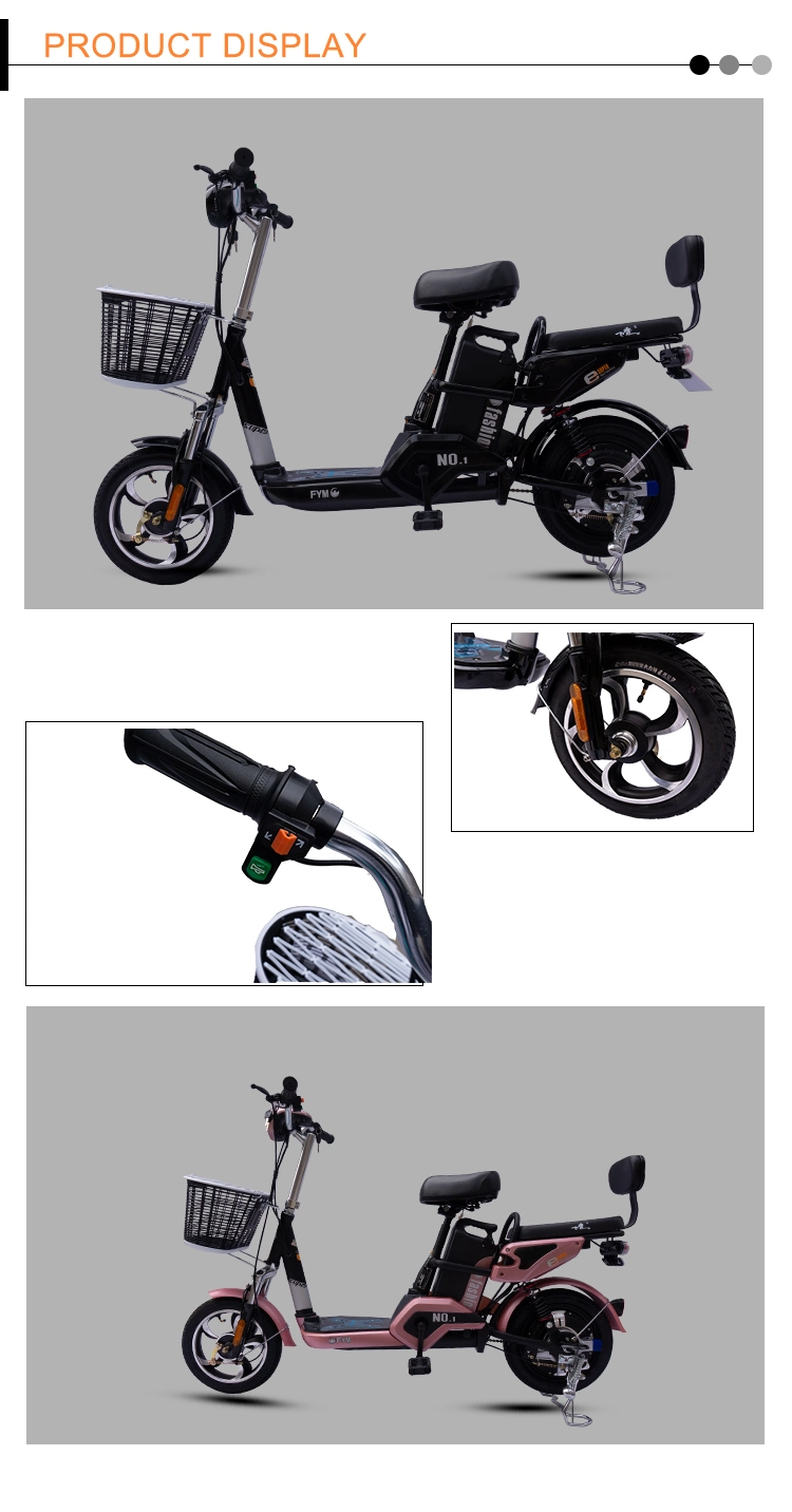 2020 New 14 Inch 350W Battery 48V Electric Motorbike Cheap Electric Bike