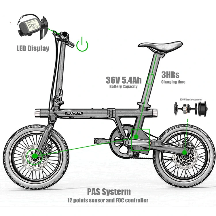 The Most Attractive Electric Bike 36V 250W Electric Dirt Bikes for Adults Powerful China Electric Bike