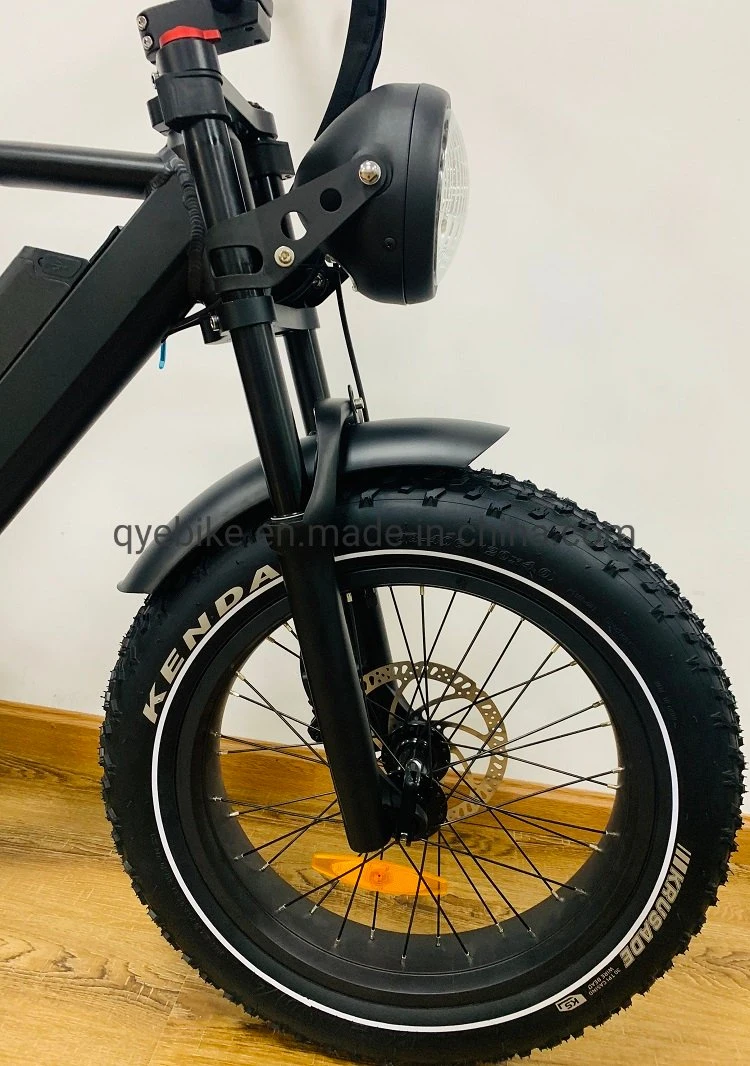 Queene/20 Inch Foldable Fat Tire Electric Bike Folding with 8fun Motor Pedal Assist