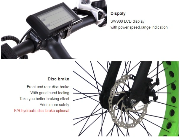 PAS Intelligent Pedal Assistant System 48 Valtage Fat Tire Electric Snowing Bikes for Beach