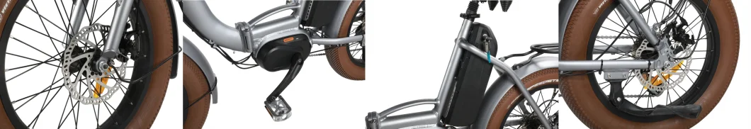 Lithium Battery Folding E Bike/Folding Electric Bike/Mini Bicycle/Foldable Ebike 48V