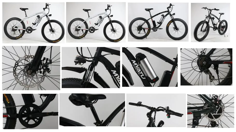 Manufacturer 1000W 48V Fat Tire Mountain Electric Bikes
