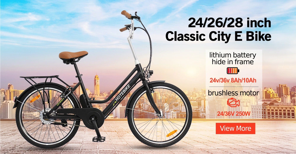 Hot Sale Electric Bicycle with Motor En15194 20-Inch Folding Ebike 36V 250W