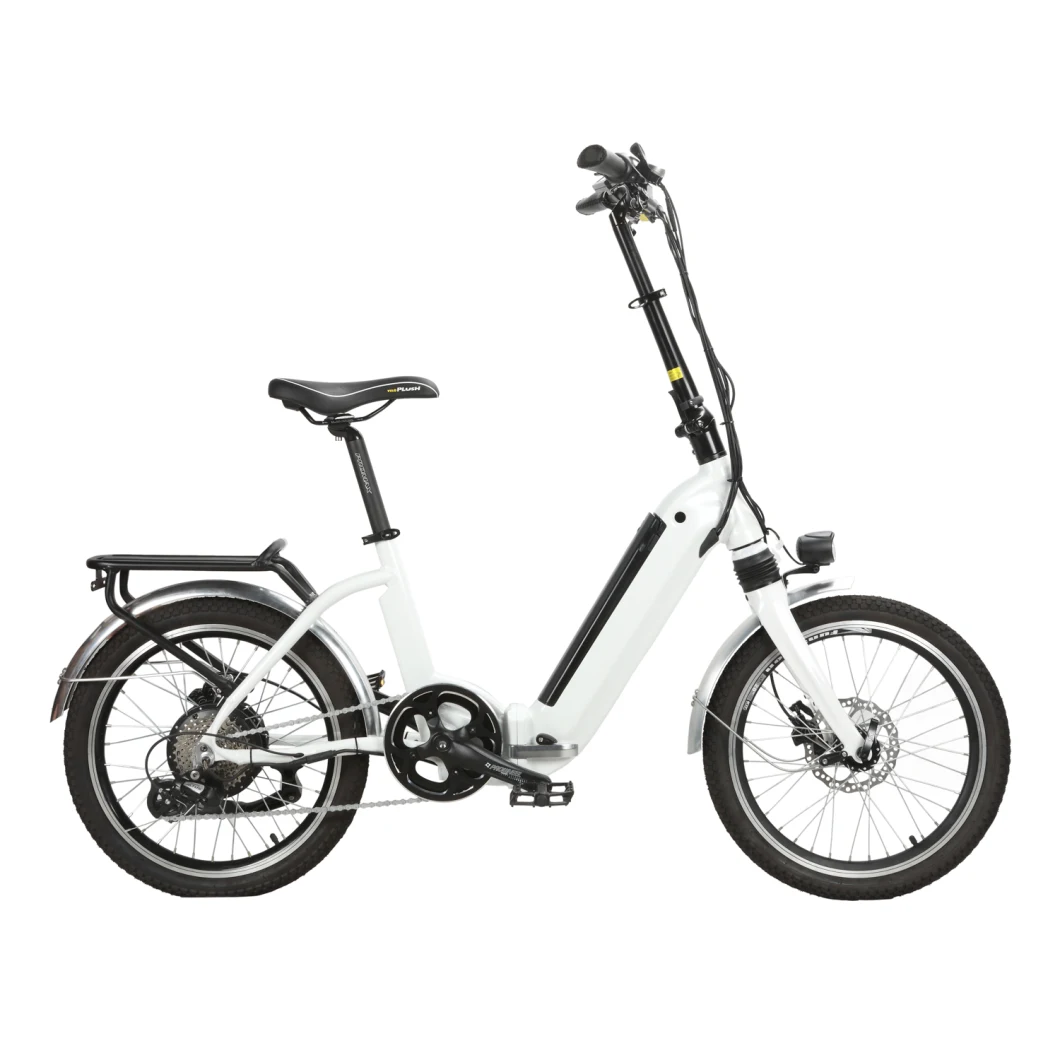 20 Inch Adult Foldable Ebike E-Bike