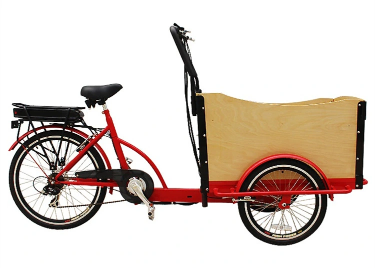 Trucks Mobile Food Bicycle Used Ice Cream Cargo Bike for Sale Adult Tricycle Cargo Bike Family