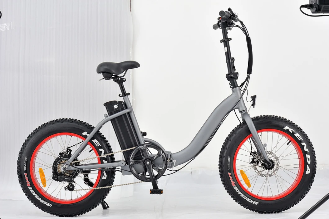 High Quality Foldable Ebike 20 Inch Mini Fat Tire Folding Electric Bike