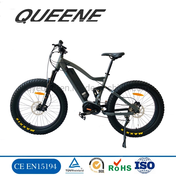 Queene/1000W MID Drive Electric Mountain Bike Fat Ebike 26inch Mountain Ebike