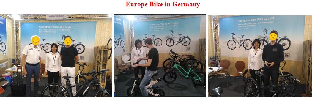 Folding Electric Bike with Magnesium Alloy Integrated Wheel Li Battery Folding Ebike