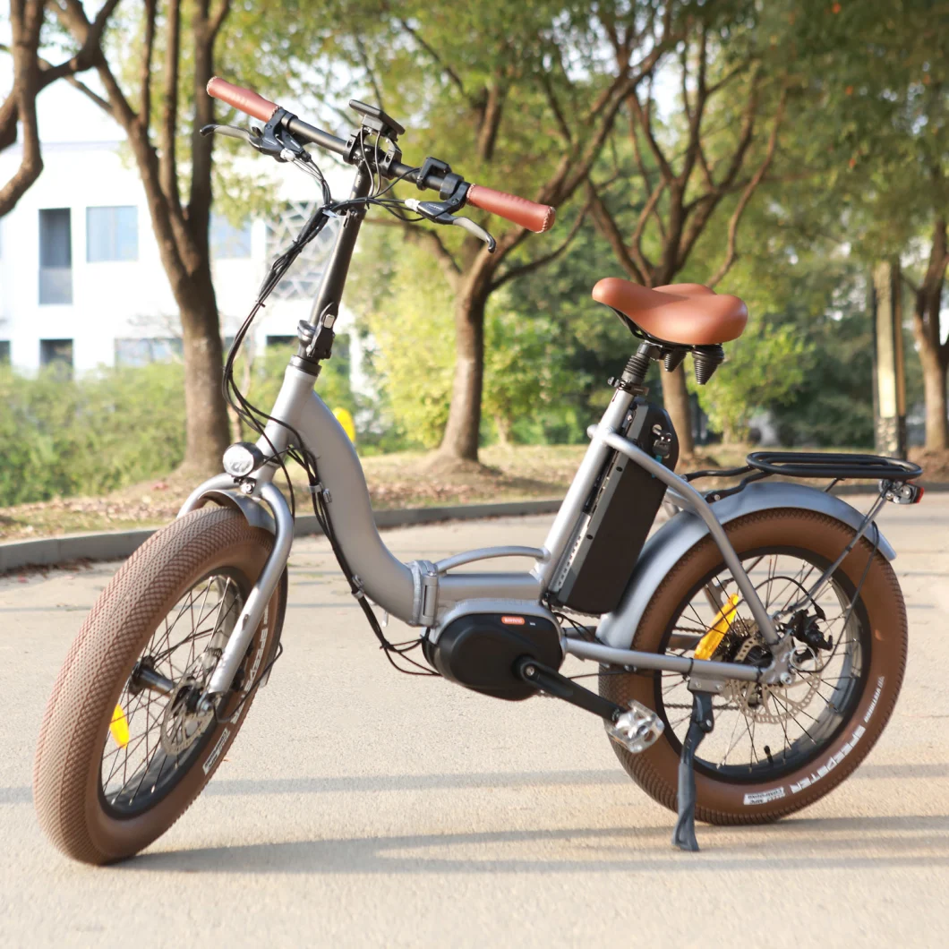 20 Inch Fat Tire Electric Bike 48V 500W Pedal Assisted Folding Ebike