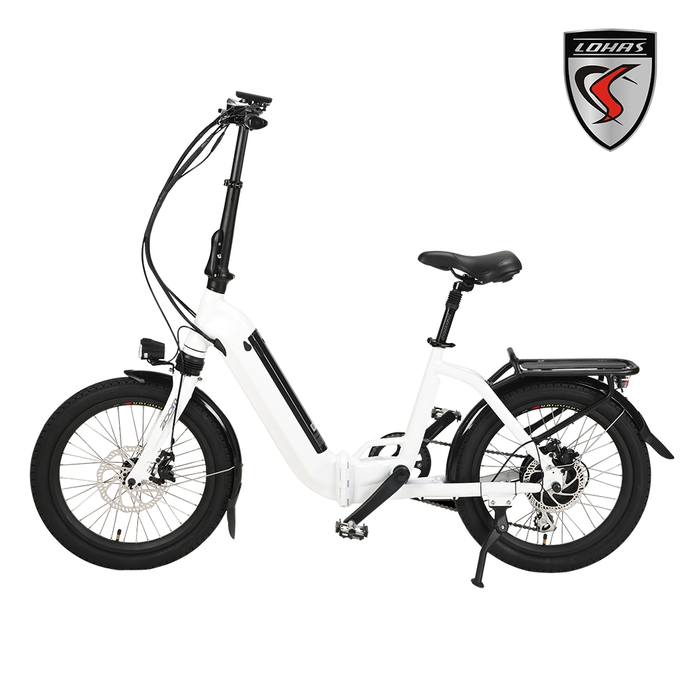 20 Inch Foldable Ebike E Bicycle E-Bike Folding Electric Bike for Adult