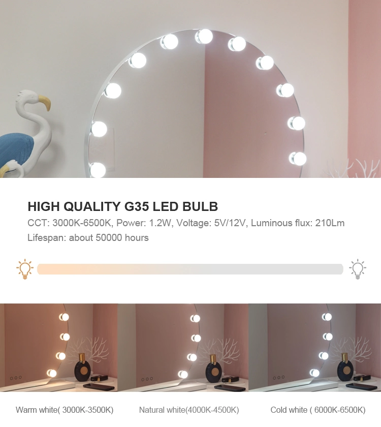 Home Products Bedroom Mirror LED Salon Furniture Mirror 15PCS G35 Type LED Bulbs