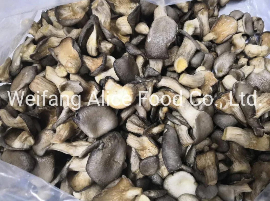 Wholesale High Quality Vacuum Fried Foods Vf Oyster Mushroom