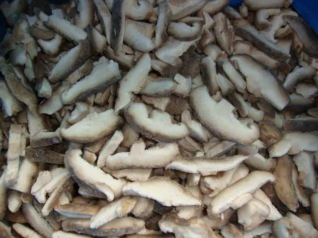 Frozen Mushroom Chinese Oyster Mushroom