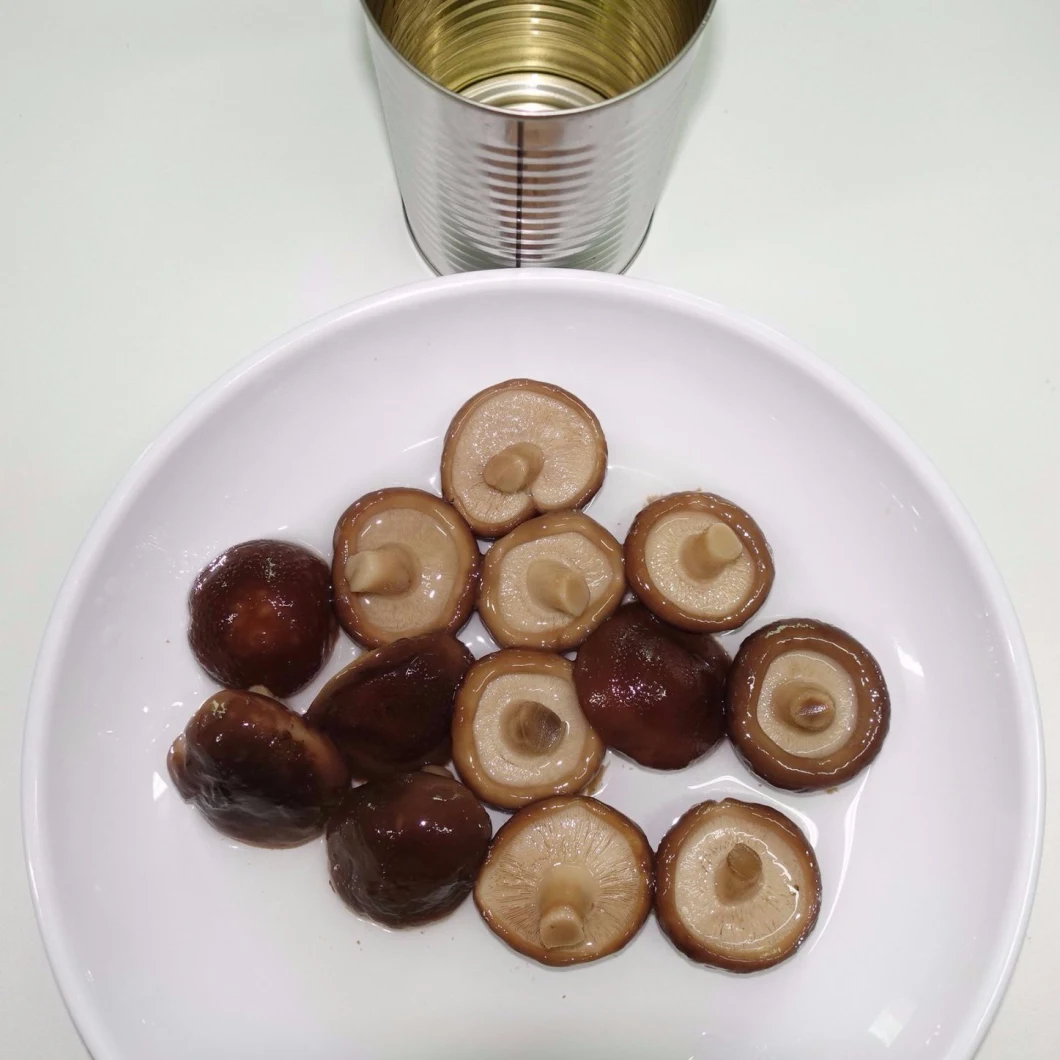 Edible Fresh Mushroom Canned Champignon Mushroom with Fresh Raw Material