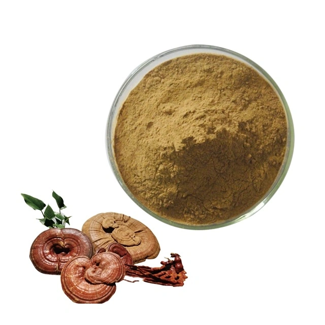 100% Pure Organic 10%-50% Polysaccharide Ganoderma Lucidum Reishi Mushroom Extract Mushroom Powder