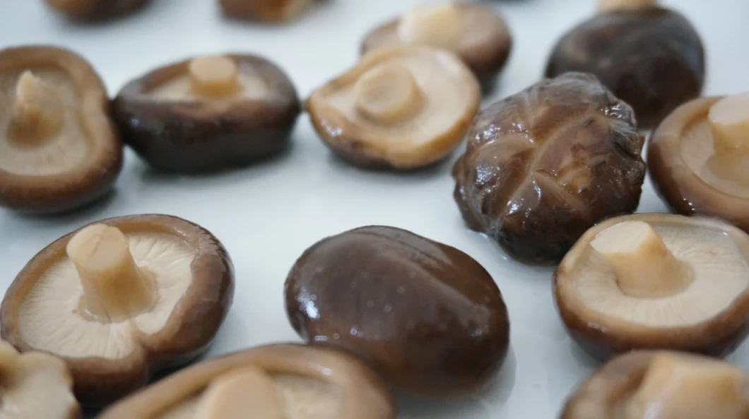 Canned Seasoned Shiitake Mushrooms