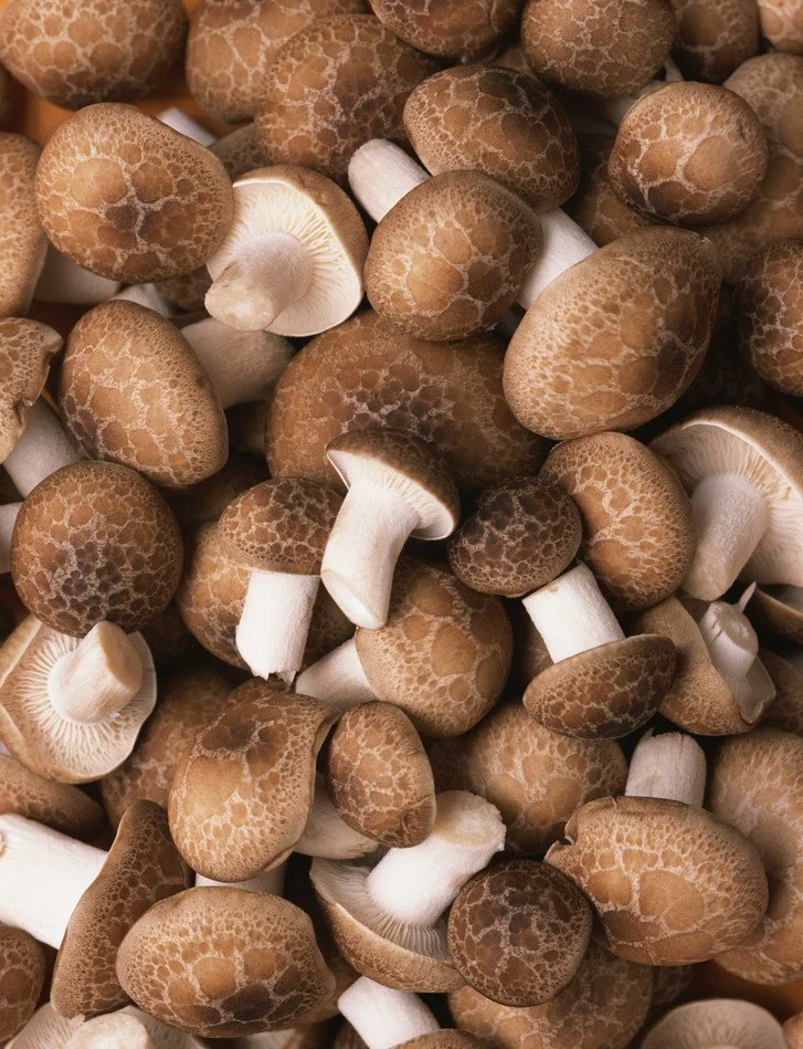 Canned Seasoned Shiitake Mushrooms