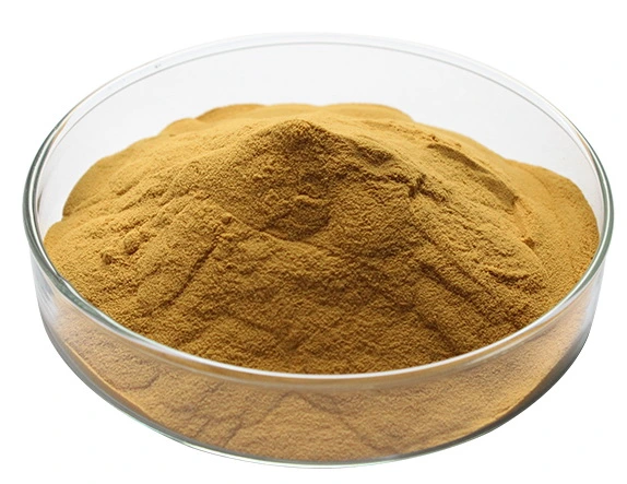 Lentinus Edodes Extract Powder Lentinan 10-50% with Preferential Price