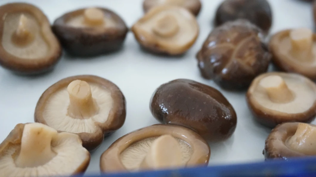 Natural Shiitake Mushroom in Glass Jar